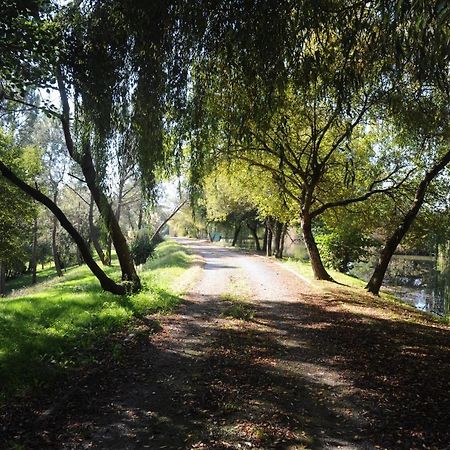 Vila La Marviniere Saint-Bonnet-sur-Gironde Exteriér fotografie