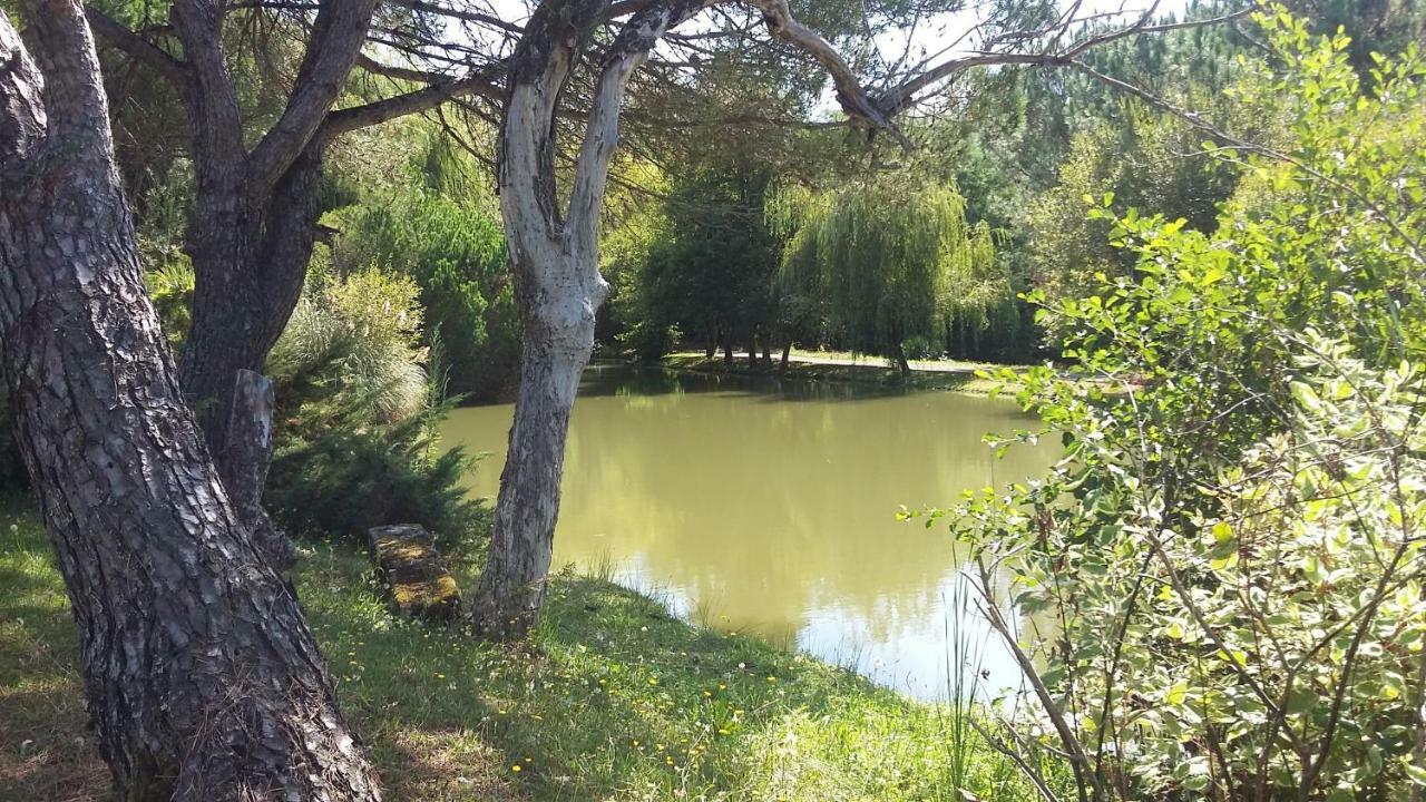 Vila La Marviniere Saint-Bonnet-sur-Gironde Exteriér fotografie